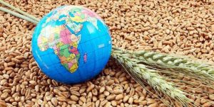 تغییرات آب و هوایی چگونه امنیت غذایی جهان را تهدید می‌کند